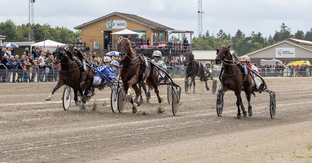 Saturday Night Racing i Skive - millioner på spil og masser af heste